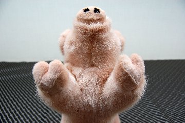 ミンク　ドール（ピグレット）の画像