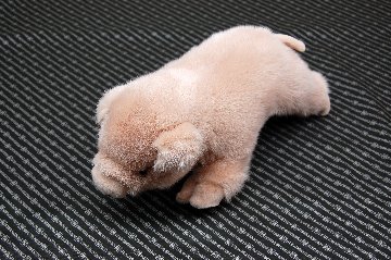 ミンク　ドール（ピグレット）の画像