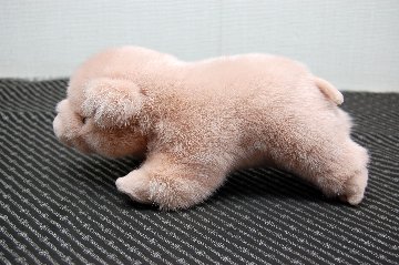 ミンク　ドール（ピグレット）の画像