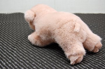 ミンク　ドール（ピグレット）の画像