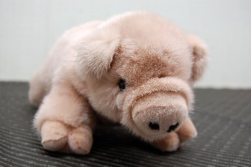 ミンク　ドール（ピグレット）の画像