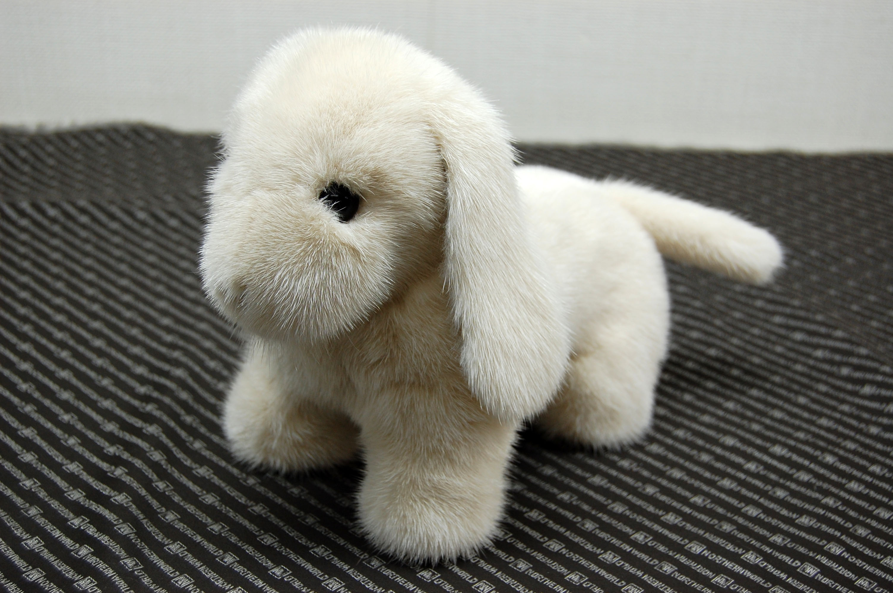 ミンク　ドール（レトリバー）の画像