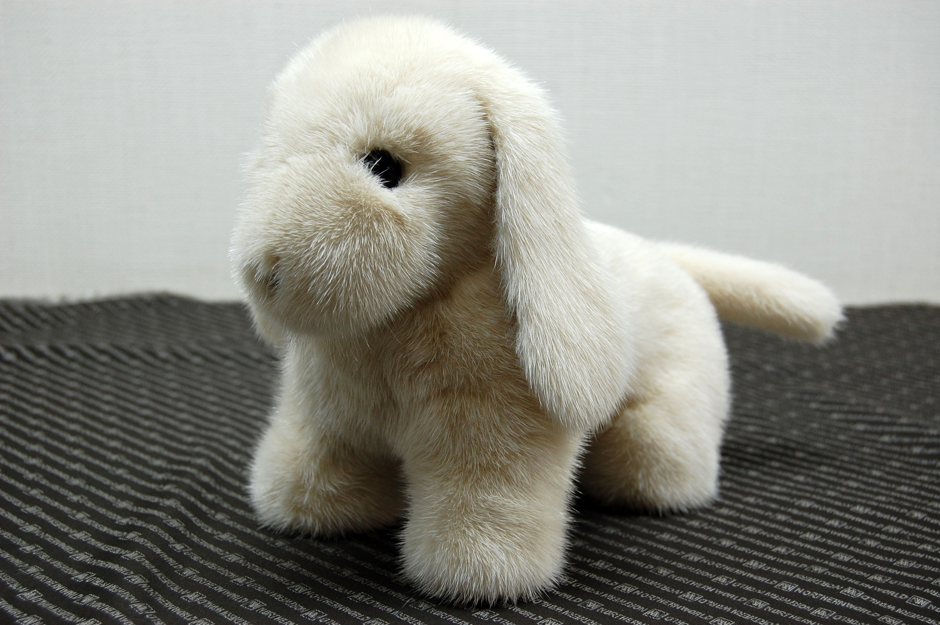 ミンク　ドール（レトリバー）の画像