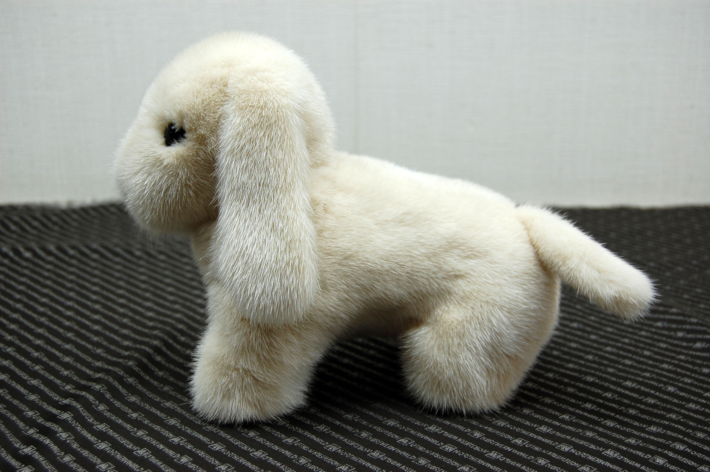 ミンク　ドール（レトリバー）の画像