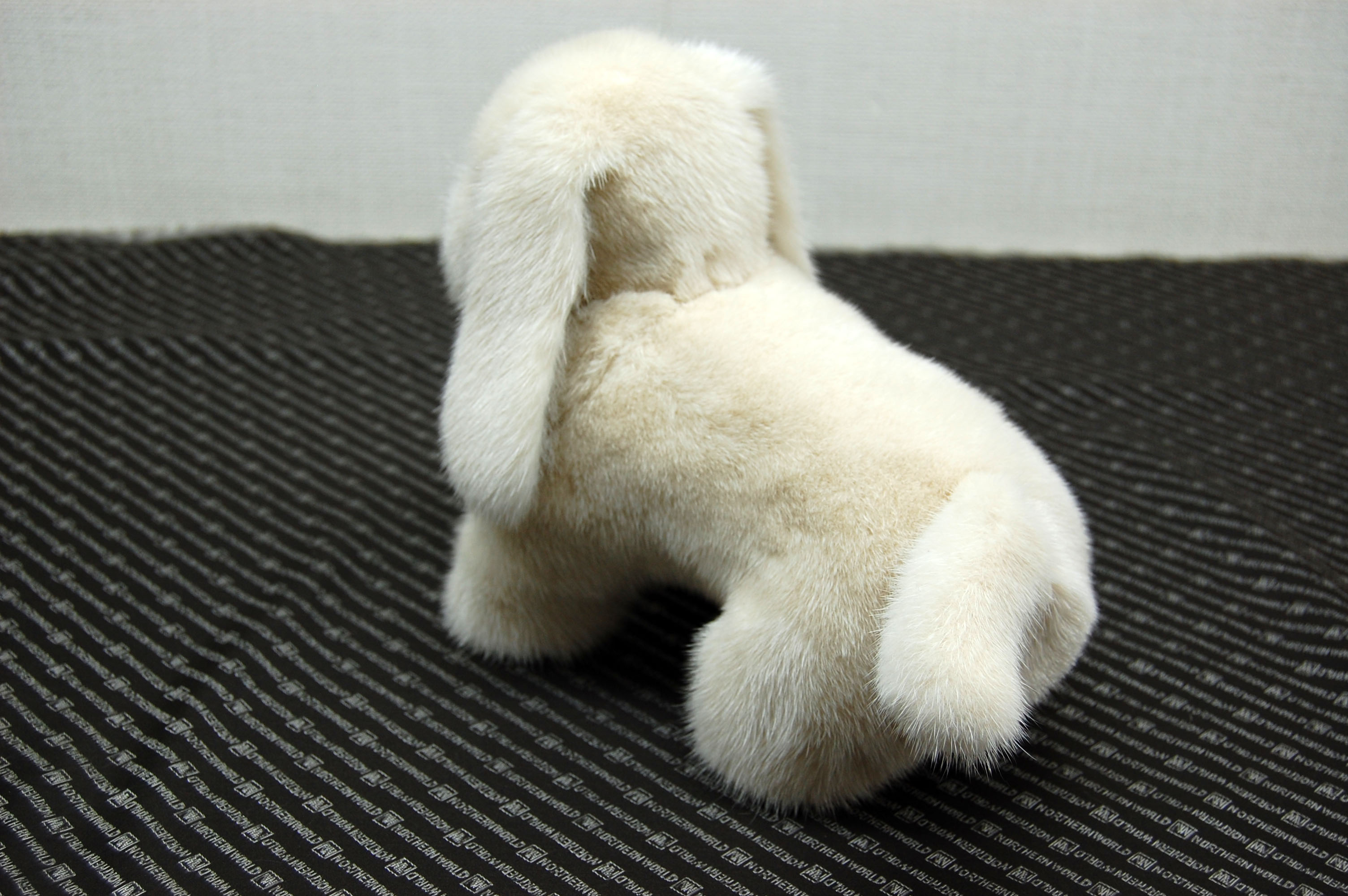 ミンク　ドール（レトリバー）の画像