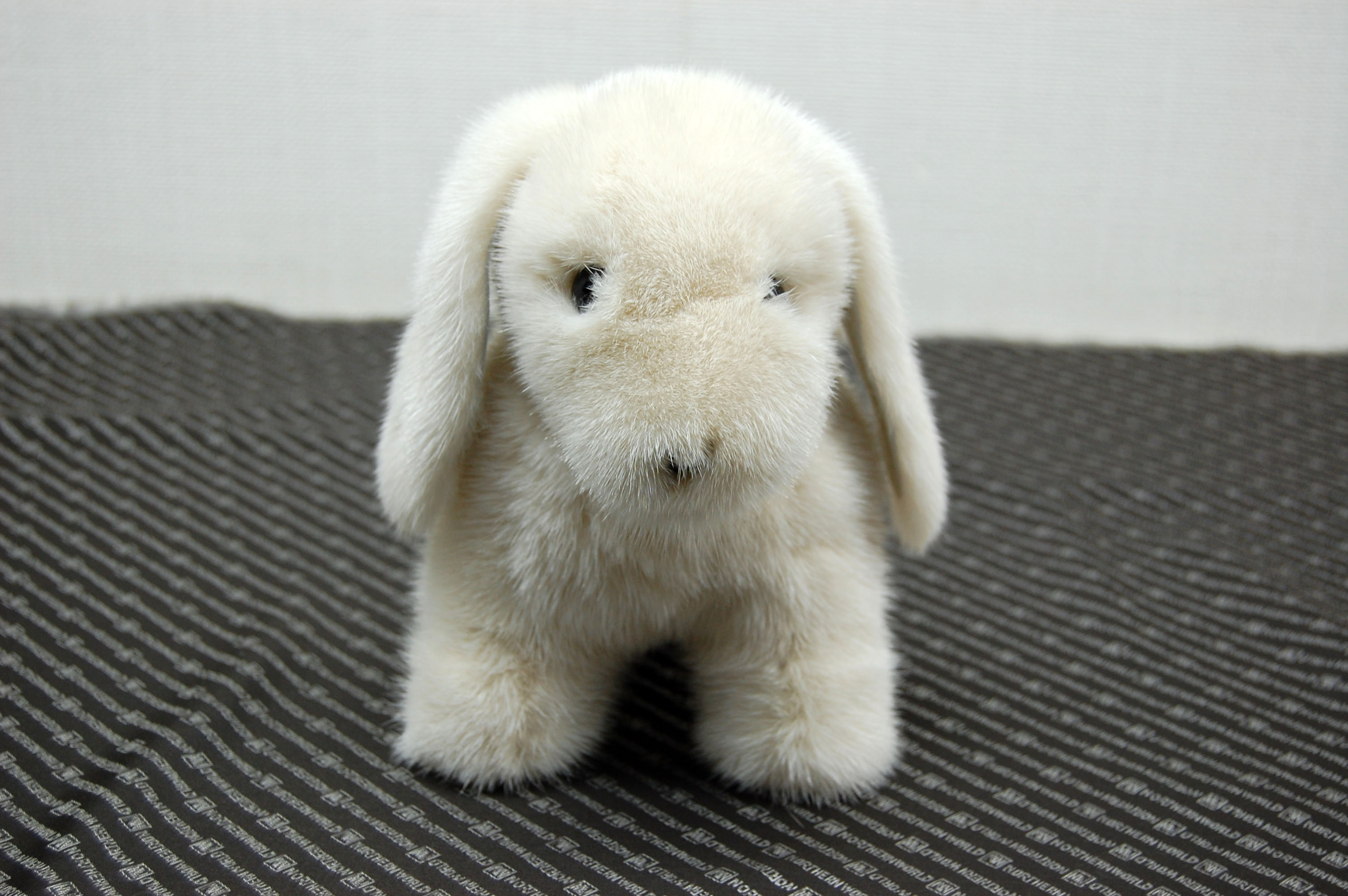 ミンク　ドール（レトリバー）の画像