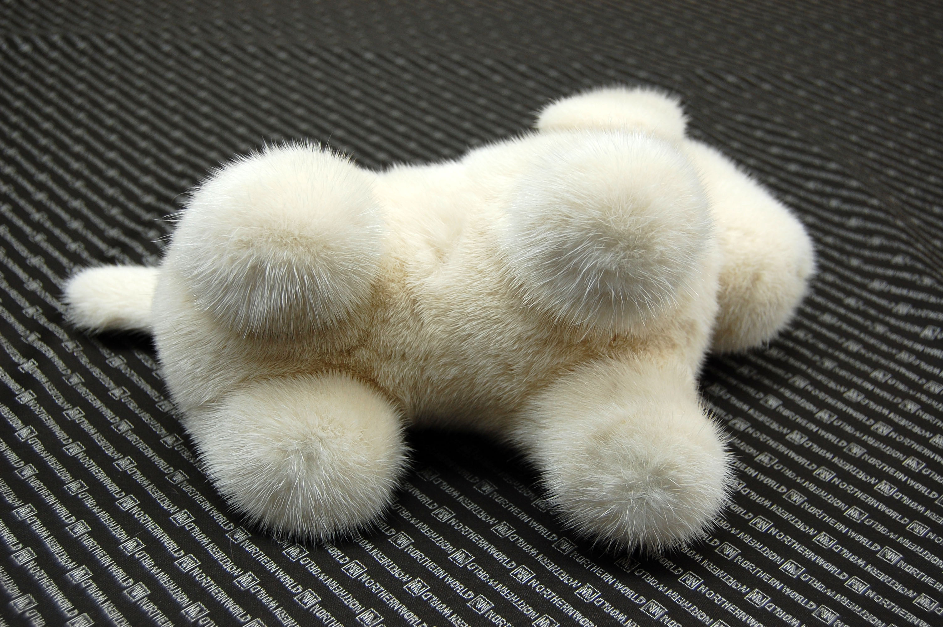 ミンク　ドール（レトリバー）の画像