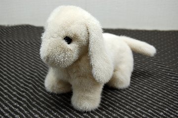 ミンク　ドール（レトリバー）の画像