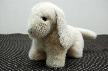 ミンク　ドール（レトリバー）の画像