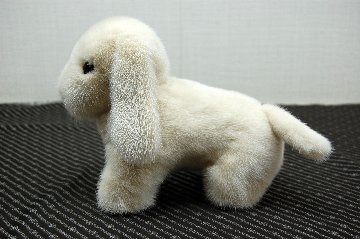 ミンク　ドール（レトリバー）の画像