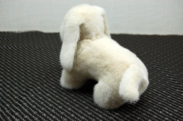 ミンク　ドール（レトリバー）の画像