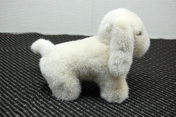 ミンク　ドール（レトリバー）の画像