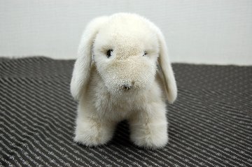 ミンク　ドール（レトリバー）の画像