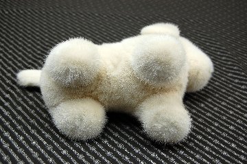 ミンク　ドール（レトリバー）の画像