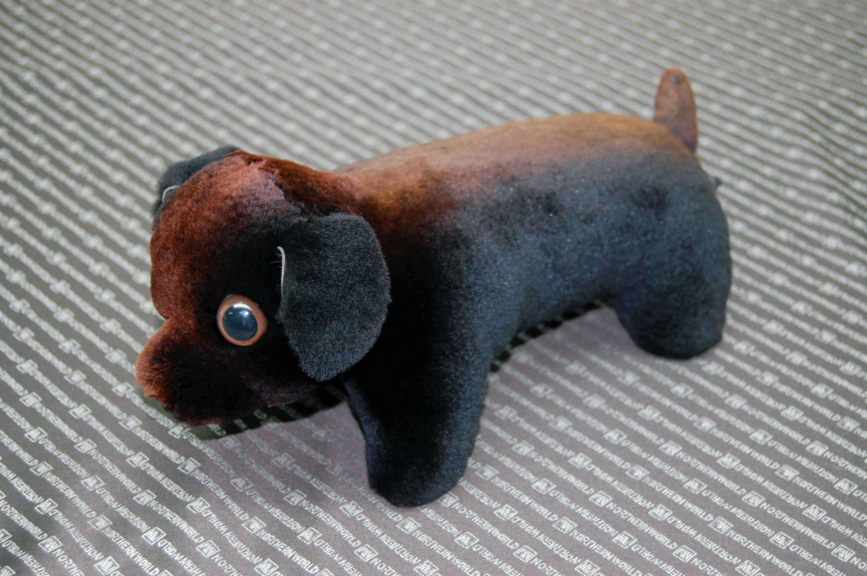 シェアードミンク　ドール（ダックス）の画像