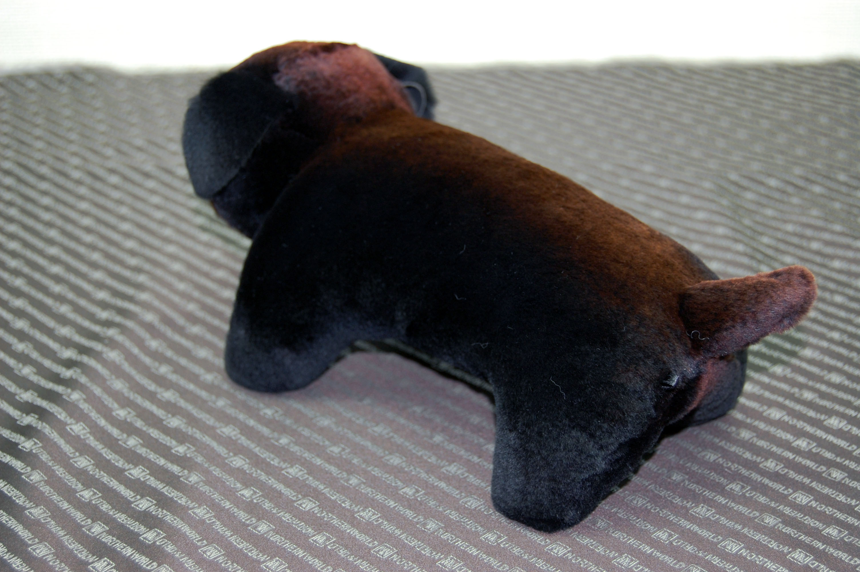 シェアードミンク　ドール（ダックス）の画像