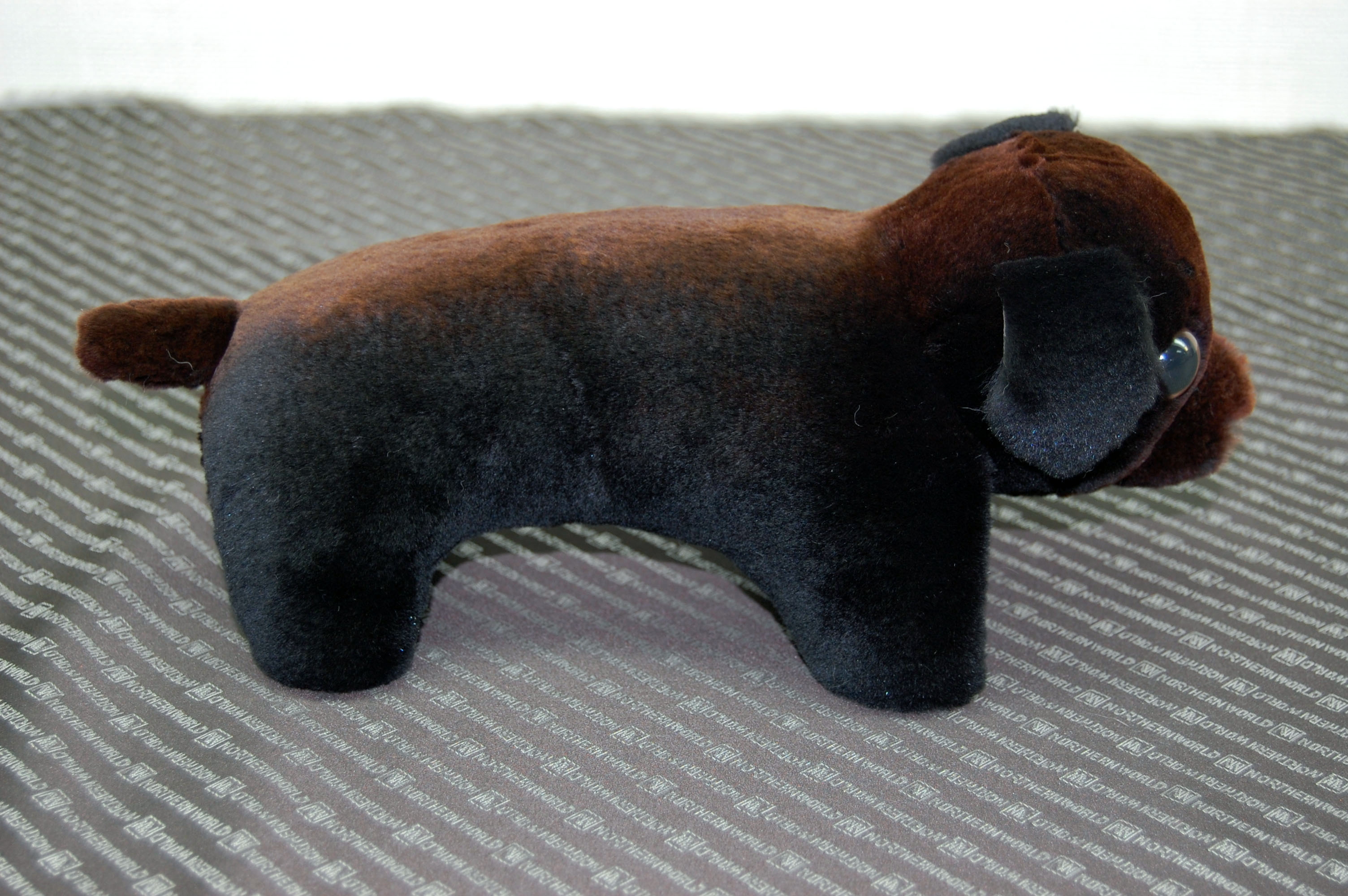 シェアードミンク　ドール（ダックス）の画像