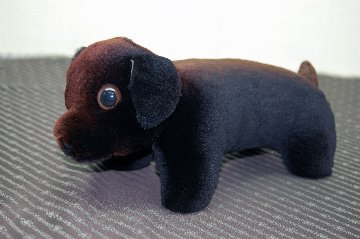 シェアードミンク　ドール（ダックス）の画像