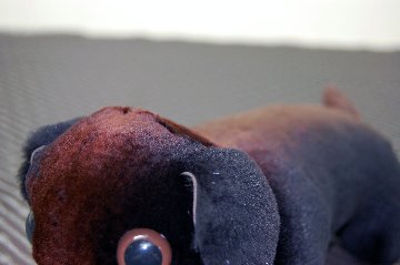 シェアードミンク　ドール（ダックス）の画像