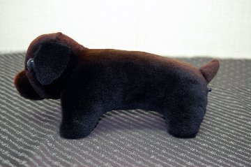 シェアードミンク　ドール（ダックス）の画像