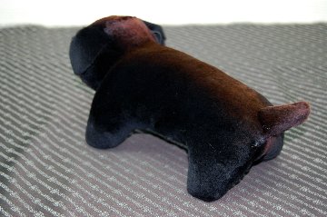 シェアードミンク　ドール（ダックス）の画像