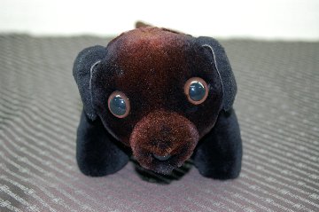 シェアードミンク　ドール（ダックス）の画像