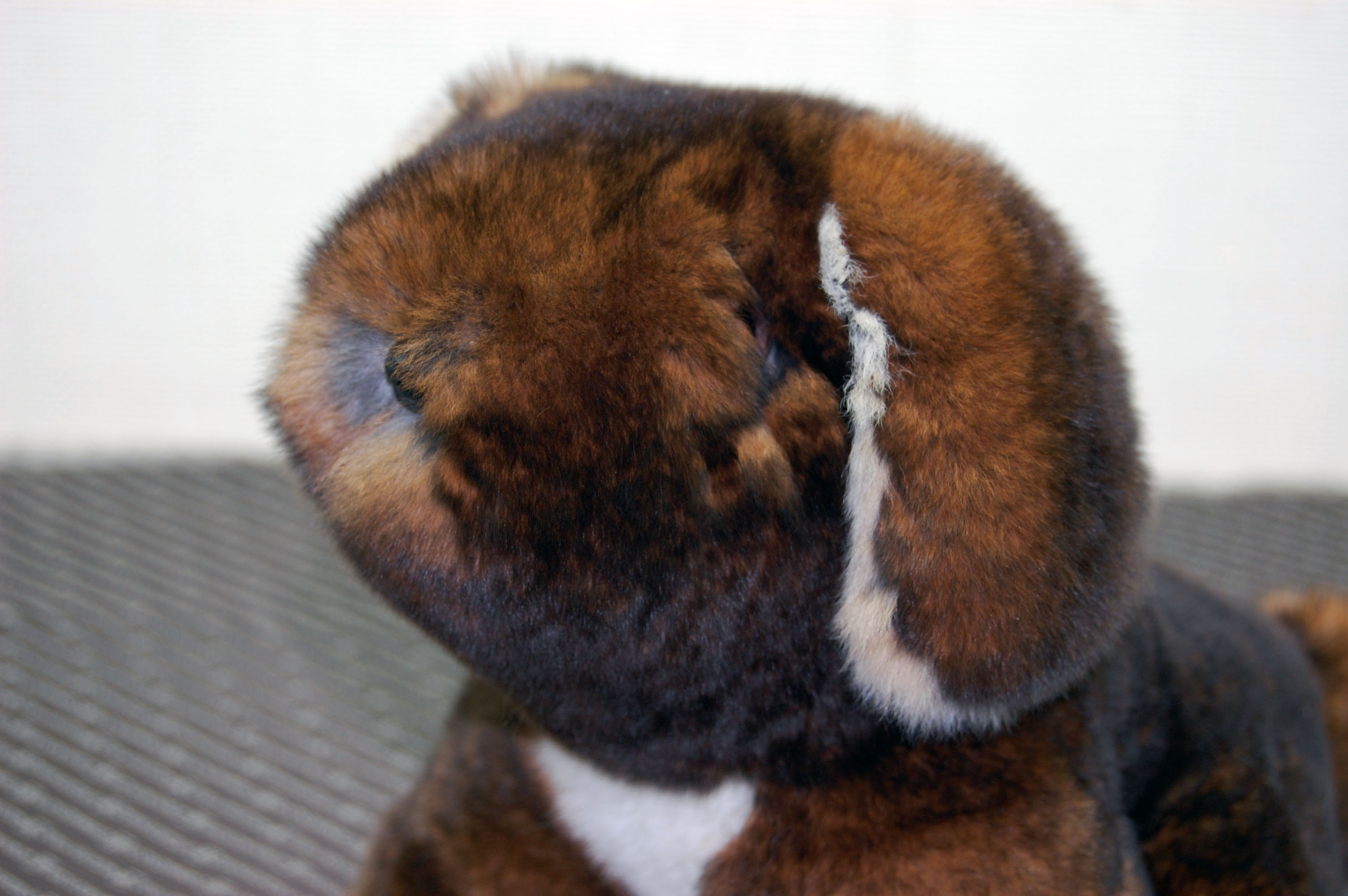 カスターレッキス　ドール（垂れ耳ドッグ）の画像