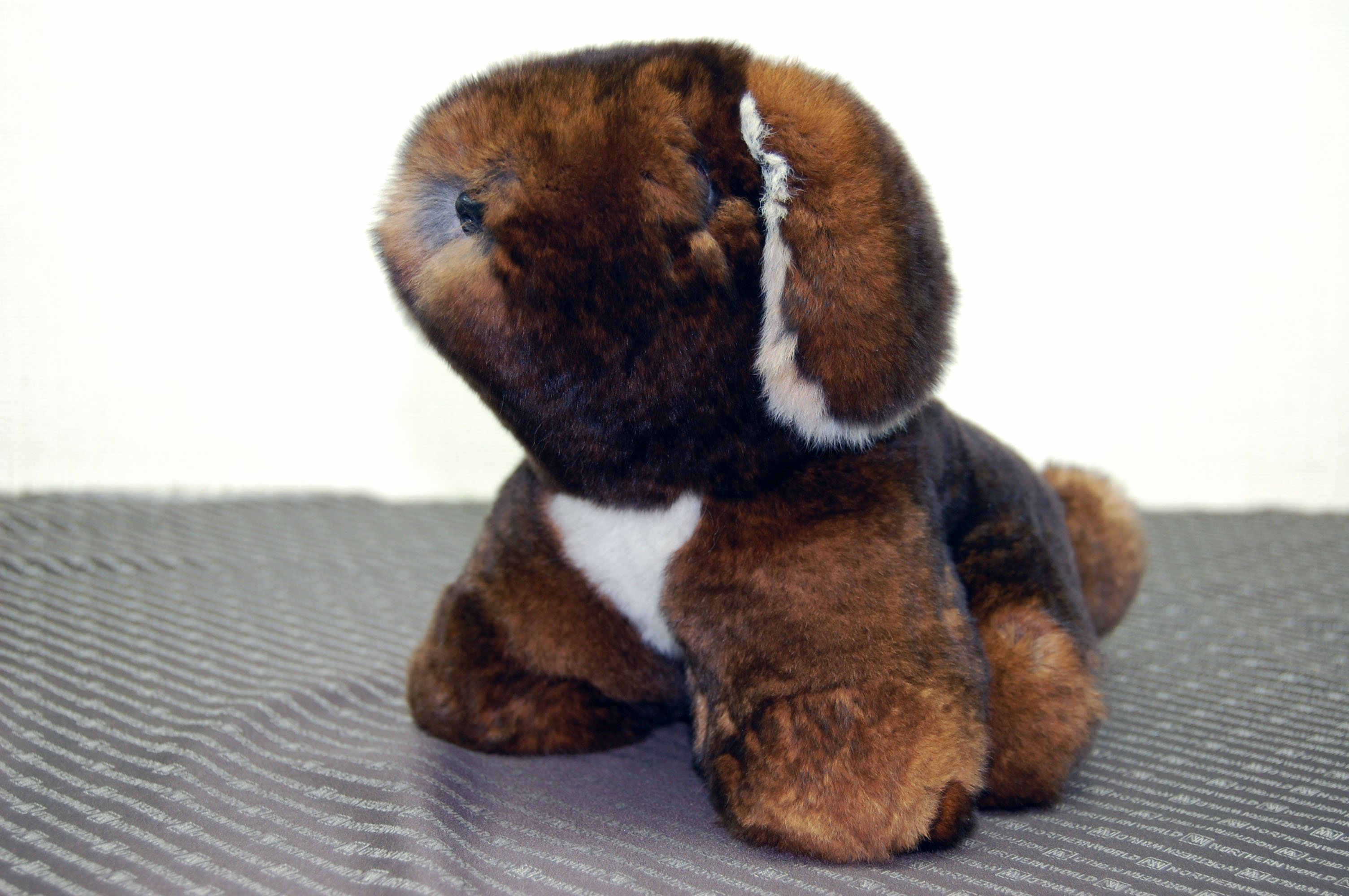 カスターレッキス　ドール（垂れ耳ドッグ）の画像