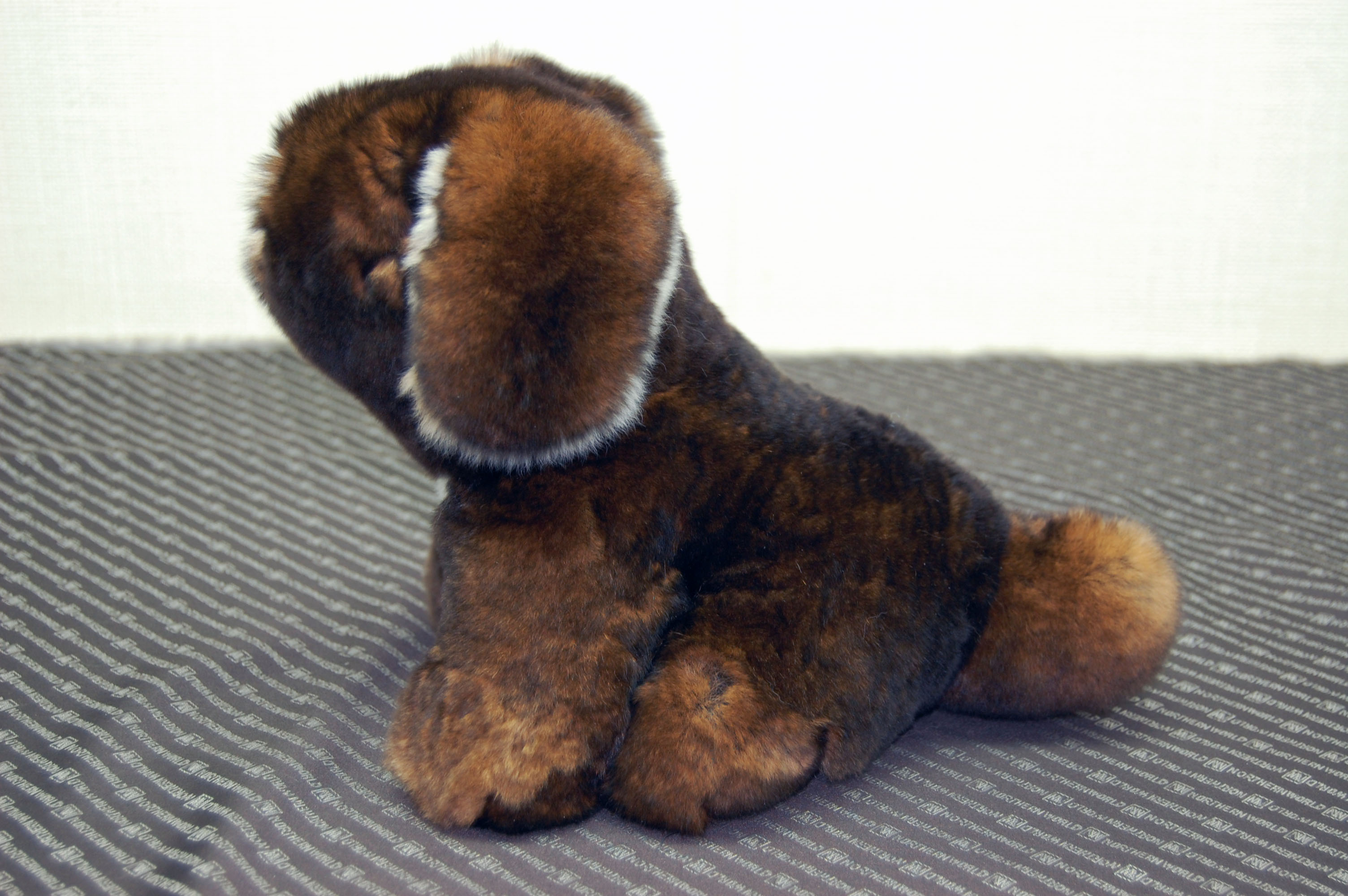 カスターレッキス　ドール（垂れ耳ドッグ）の画像