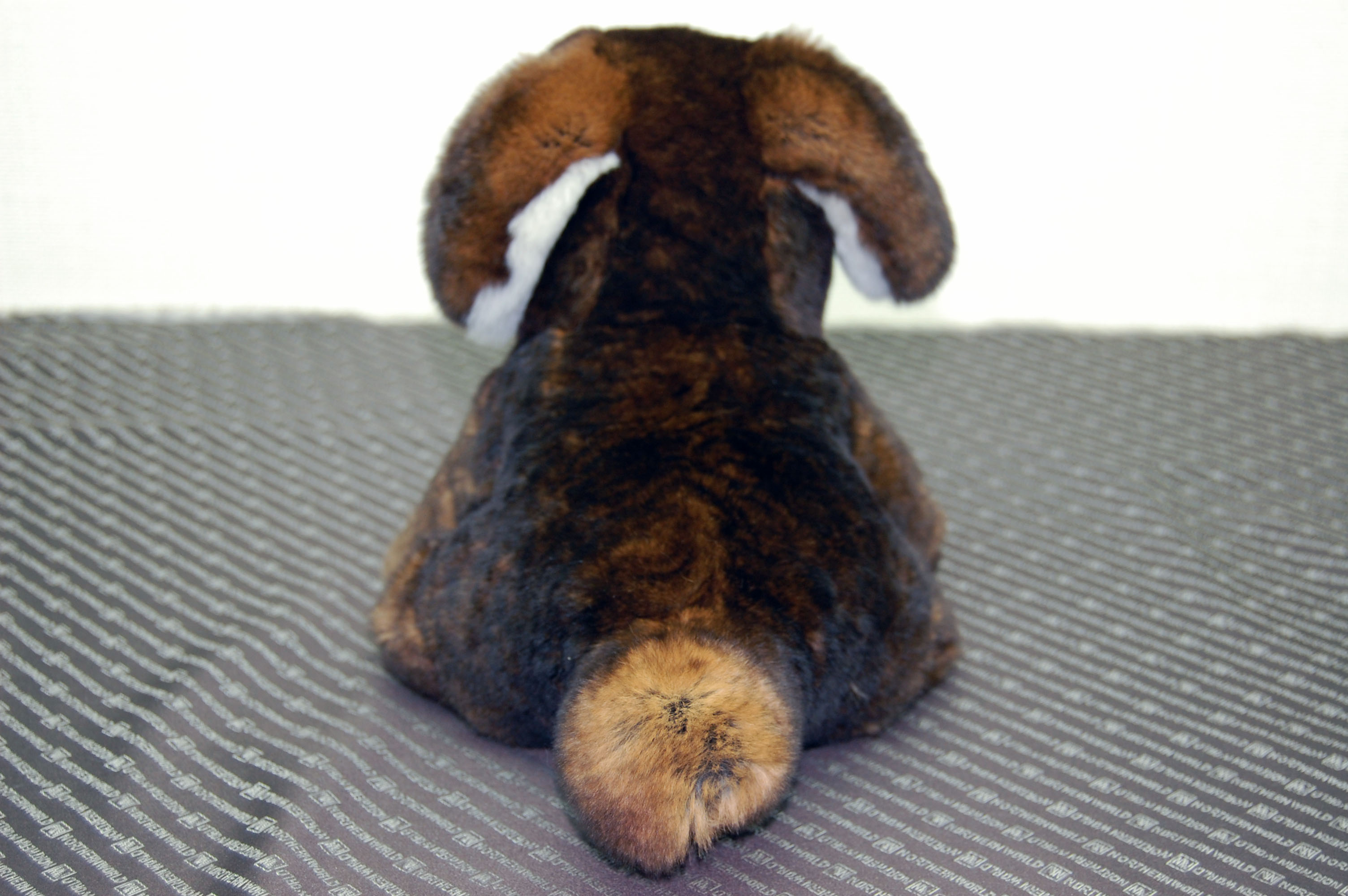 カスターレッキス　ドール（垂れ耳ドッグ）の画像