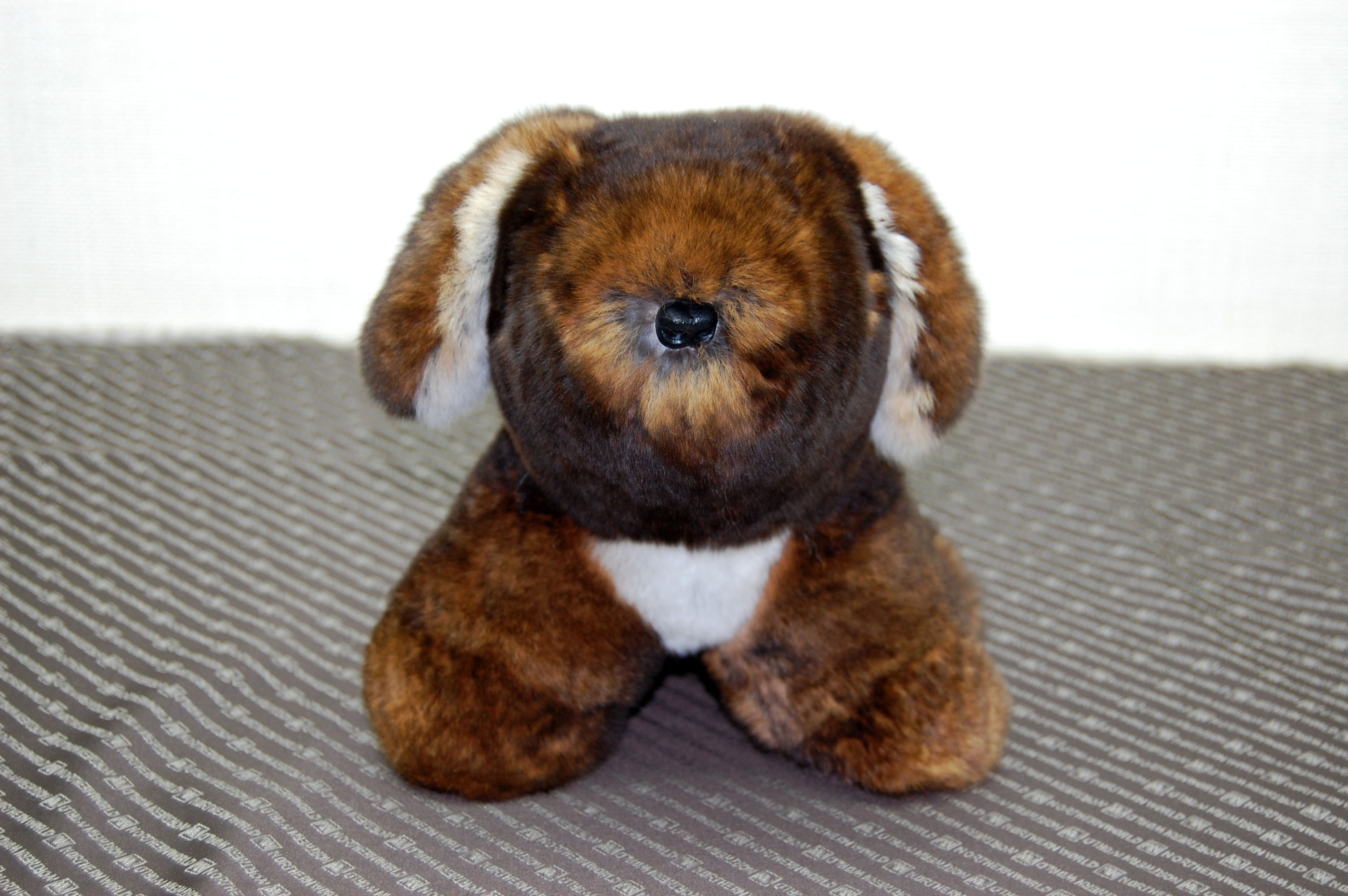 カスターレッキス　ドール（垂れ耳ドッグ）の画像