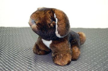 カスターレッキス　ドール（垂れ耳ドッグ）の画像