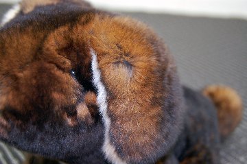 カスターレッキス　ドール（垂れ耳ドッグ）の画像