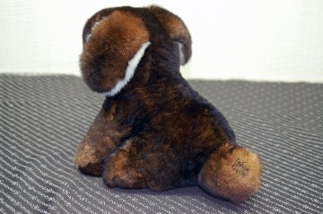 カスターレッキス　ドール（垂れ耳ドッグ）の画像