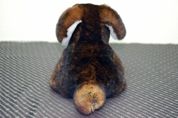 カスターレッキス　ドール（垂れ耳ドッグ）の画像