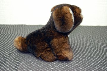 カスターレッキス　ドール（垂れ耳ドッグ）の画像