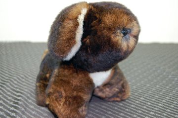 カスターレッキス　ドール（垂れ耳ドッグ）の画像