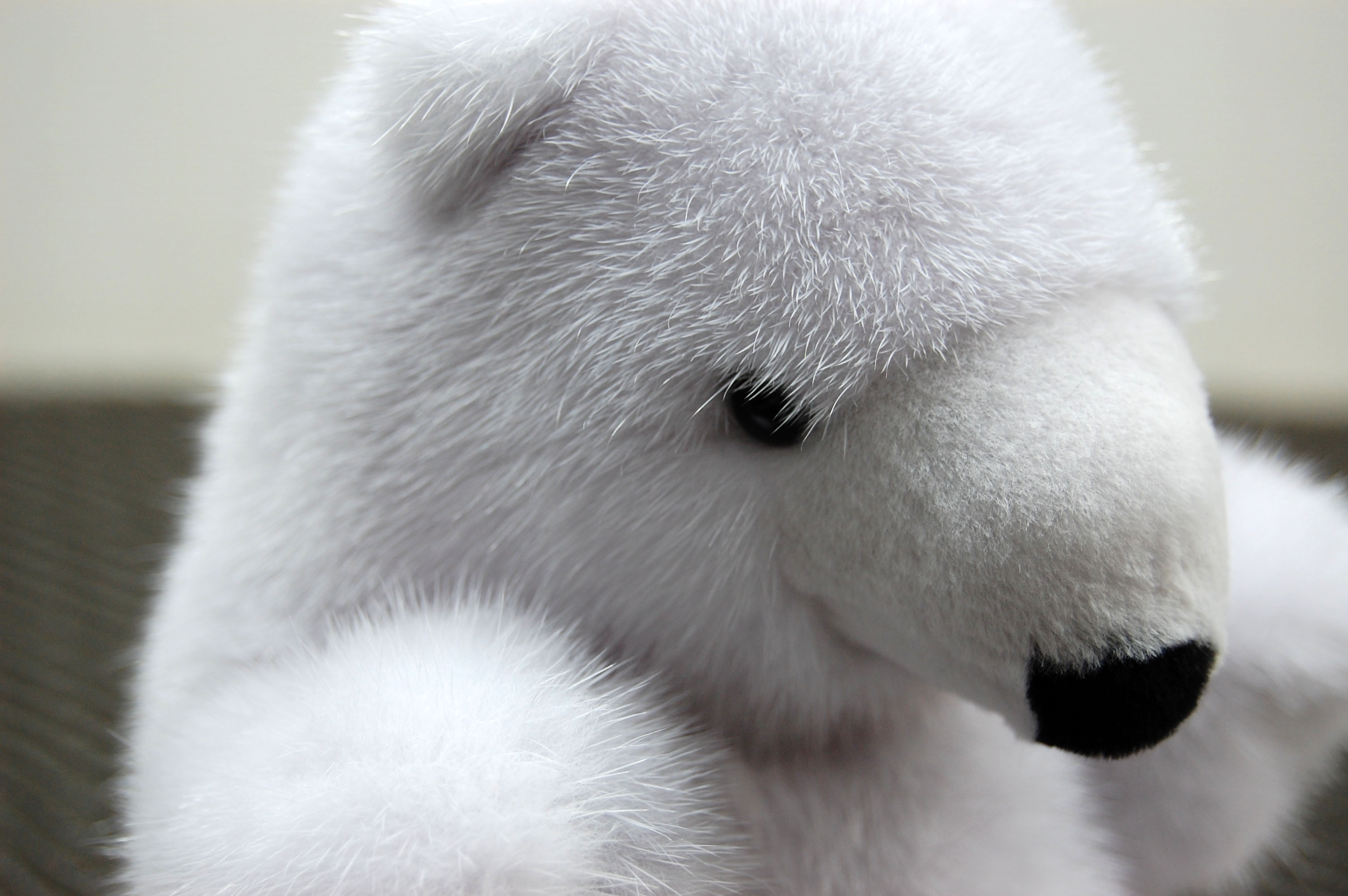 ミンク　ドール（ポーラーベア）の画像