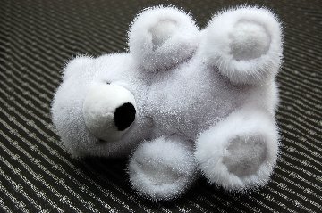 ミンク　ドール（ポーラーベア）の画像