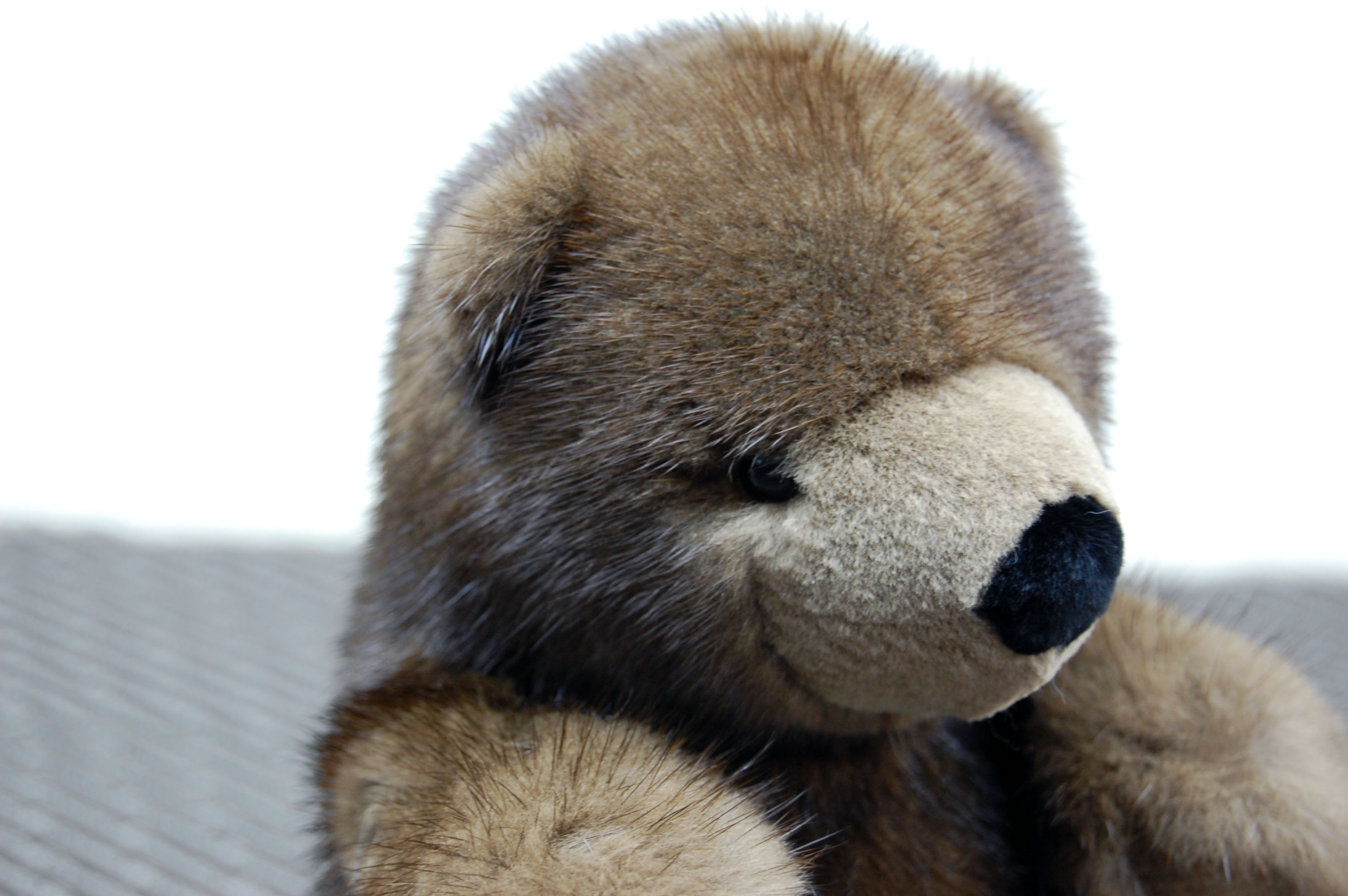 ミンク　ドール（グリズリーベア）の画像