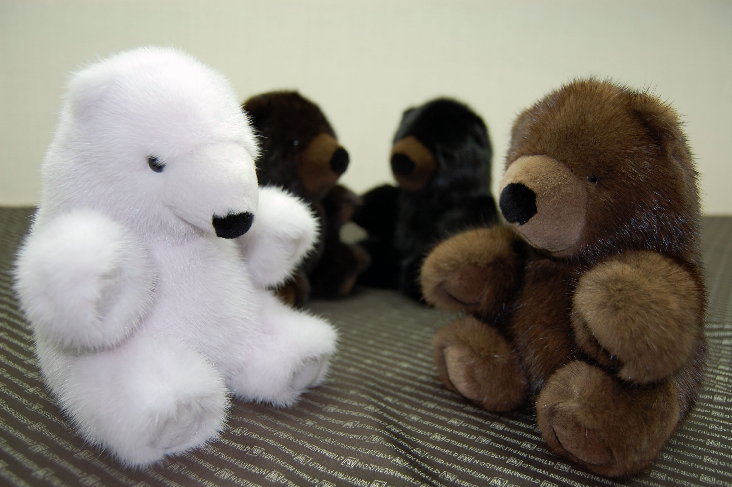 ミンク　ドール（グリズリーベア）の画像