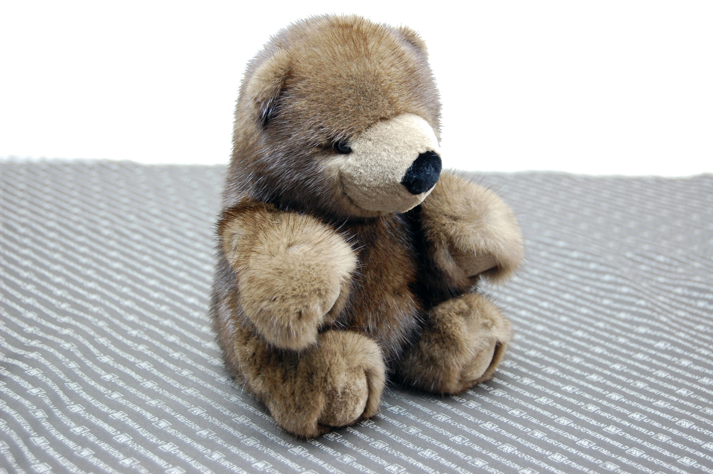 ミンク　ドール（グリズリーベア）の画像