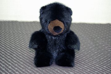 ミンク　ドール（グリズリーベア）の画像