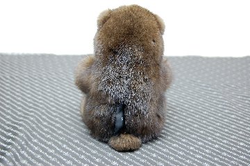 ミンク　ドール（グリズリーベア）の画像