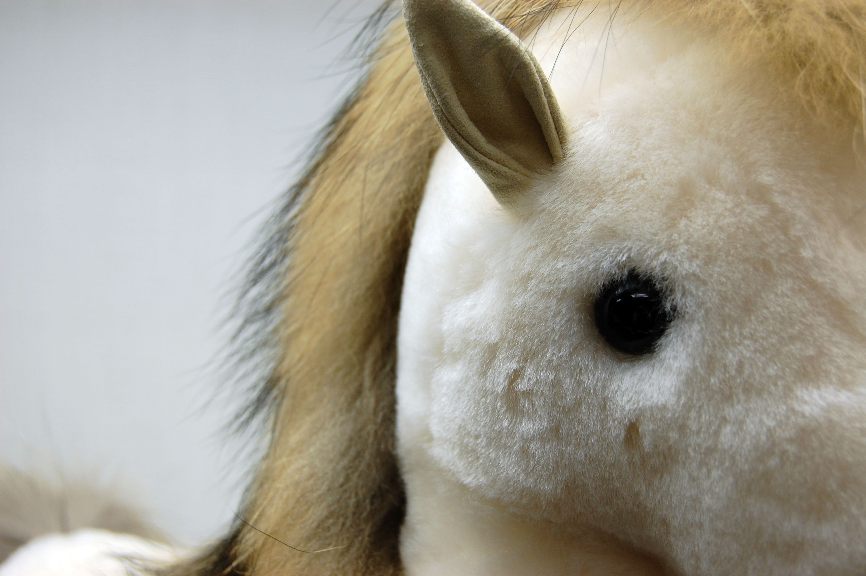 ムートン　ドール（ホース）の画像