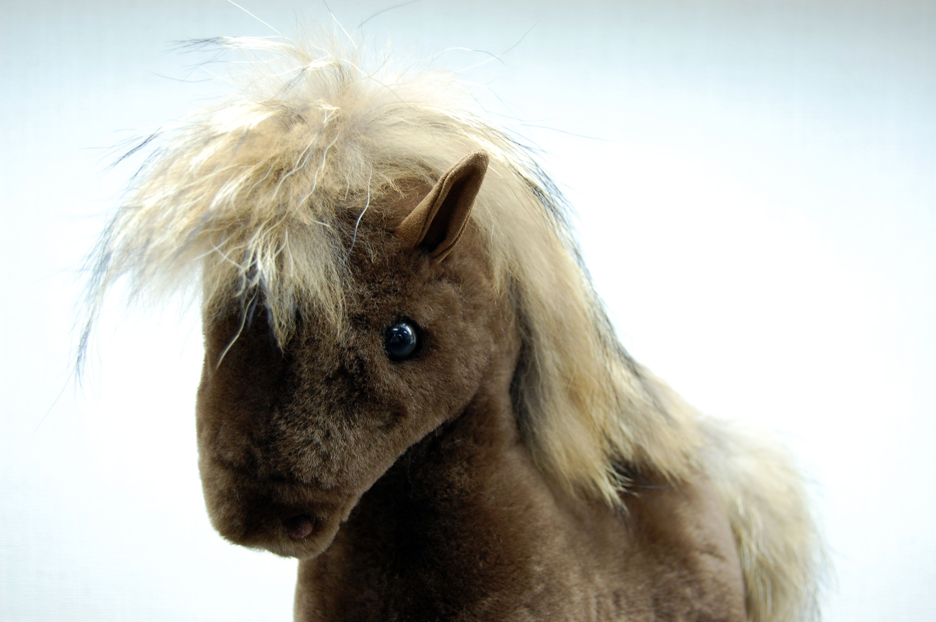 ムートン　ドール（ホース）の画像