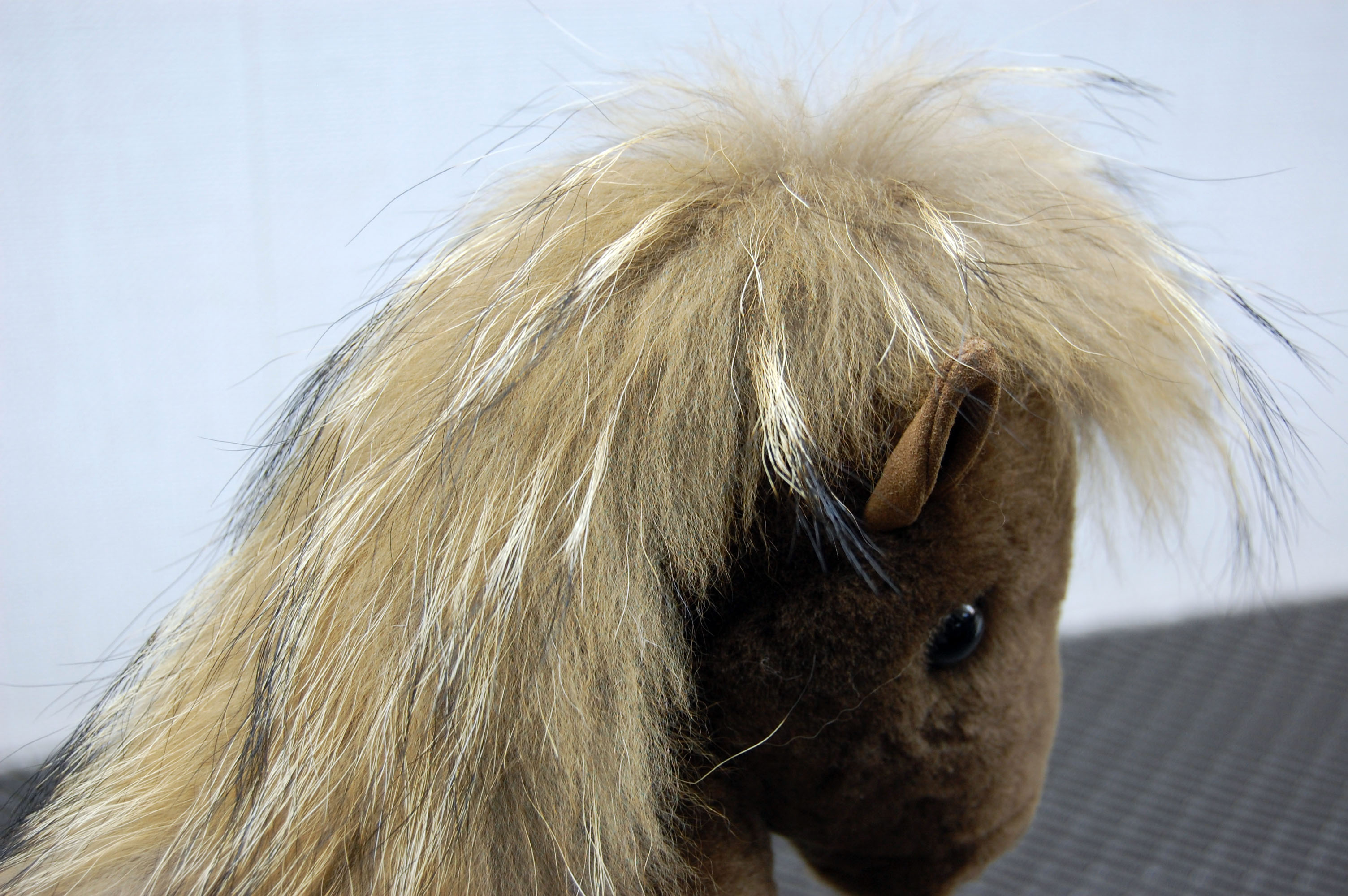 ムートン　ドール（ホース）の画像