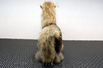 ムートン　ドール（ホース）の画像