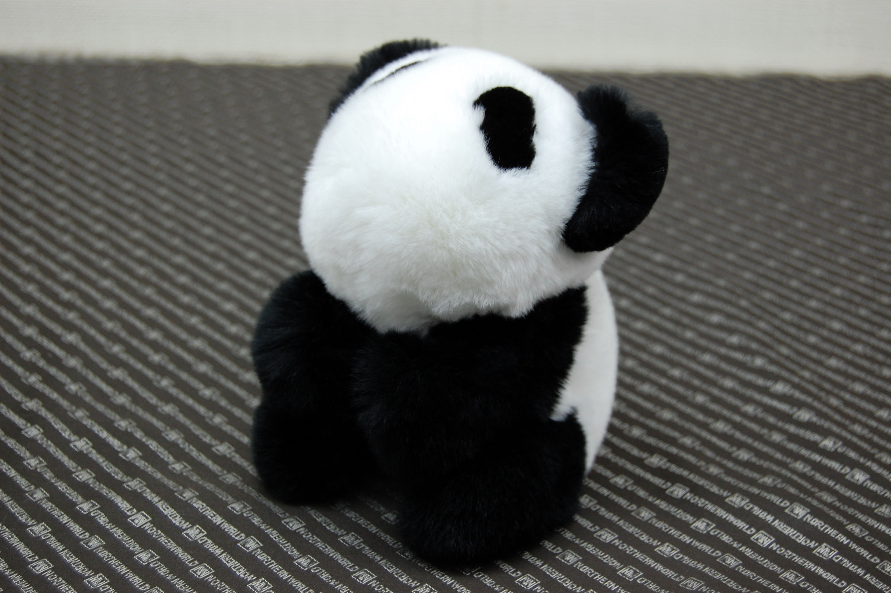 レッキス　ドール（しがみつきパンダ）の画像