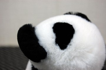 レッキス　ドール（しがみつきパンダ）の画像